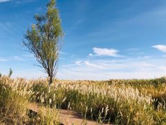 -亿利库布其七星湖沙漠生态旅游区