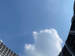-凤凰中心