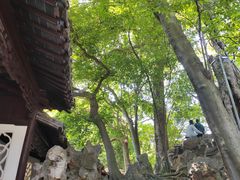 -西园戒幢律寺