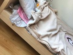 -芭比堂爱心动物医院(柯桥康爱分院)