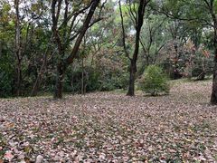 -燕晗山郊野公园