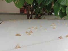 -荔湾区儿童公园