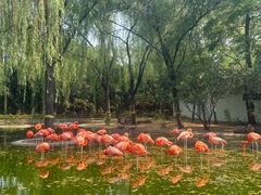 -石家庄市动物园