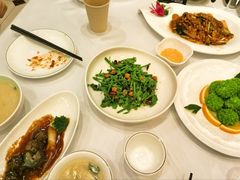 -金三杯酒家(泉城路店)