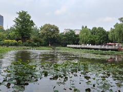 -成都市文化公园