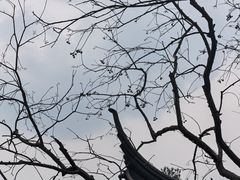 -马相伯故居