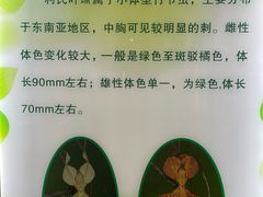 -上海昆虫博物馆