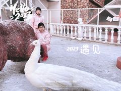 -J Create城市露营咖啡·简餐·宠物(上海动物园店)