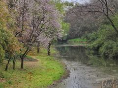 -蠡湖大桥公园