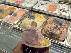 -Dooley's Premium Ice Cream