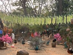 -西双版纳勐泐文化旅游区