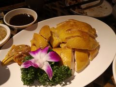 -老广酒楼(樱花店)