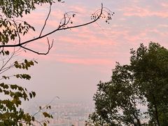 -杭州半山国家森林公园