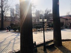 -静园(和平区)