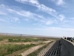 -南汇嘴观海公园