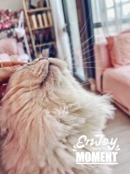 -Beauty Nails 美甲美睫皮肤管理