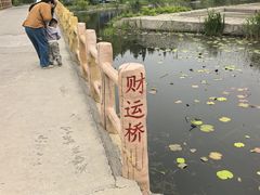 -白洋淀景区