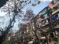 -水丰路鸡蛋饼