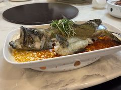 -寻味顺德·南记酒家·传统顺德菜·鱼生(广源路店)