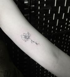 -明星刺青·洗纹身