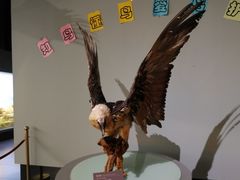 -青藏高原自然博物馆