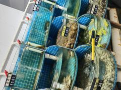 -正亮农家院·海鲜本地菜