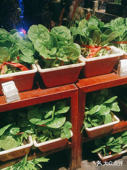 二十八里太湖船菜(吉祥路店)图片