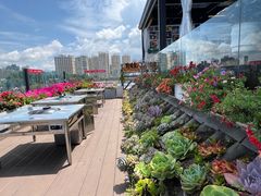 -野菌皇海景野生菌火锅(滨海大道店)