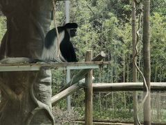 -杭州野生动物世界