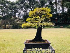 -申粤轩酒楼·三十年粤菜经典(丁香花园店)
