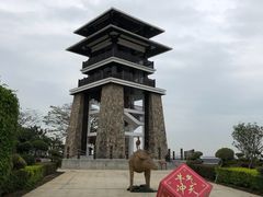 -大湾区中央湿地公园