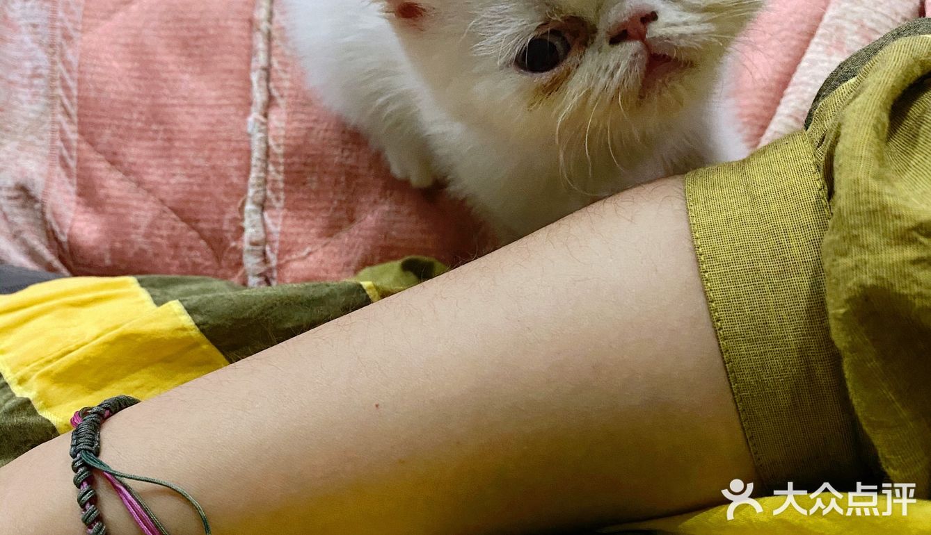 一不小心就长大了