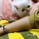 一不小心就长大了