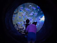 -成都浩海立方海洋公园