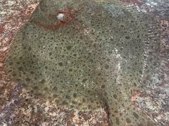 海鲜市场-四道口水产市场