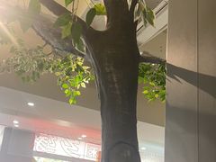 -菌乡缘·野生菌蒸汽鱼火锅(江边夜市店)