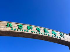 -北京野生动物园