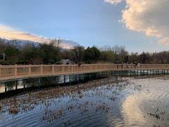 -洱海月湿地公园