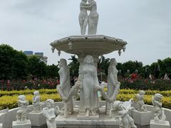 -百万葵园