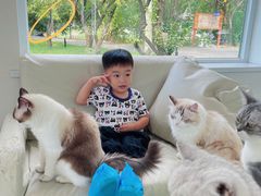 -天使咖啡(兴新街店)