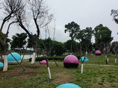 -琅岐红光湖公园