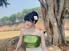 -西双版纳勐泐文化旅游区