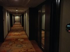 -长沙大成国际大酒店