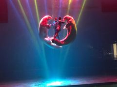 -芜湖新华联大白鲸海洋公园