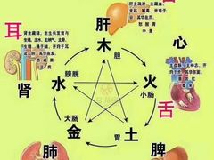 -裕和堂中医推拿艾灸(太古汇臻品店)
