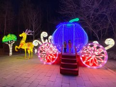 -南宫五洲植物乐园