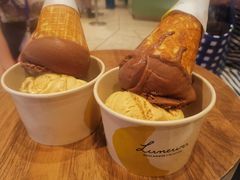 -LUNEURS月乐诗·法式冰淇淋(环贸店)