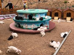 -桑干河大峡谷旅游区