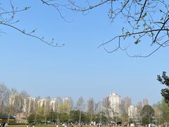 -洋湖国家湿地公园