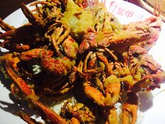 -红盔甲·小龙虾(天钥桥店)